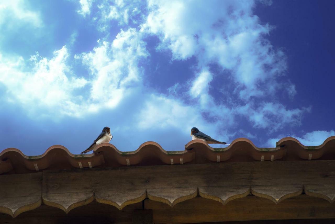 Toong Homestay Ha Giang Exterior foto